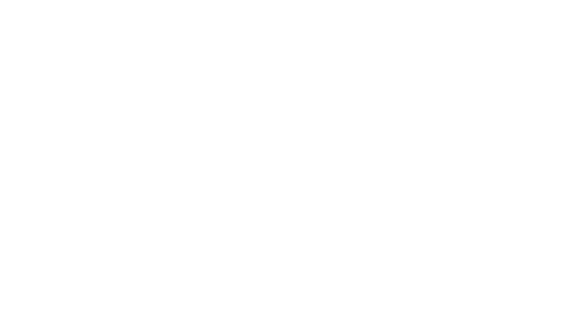 Amics de Santvi Fest